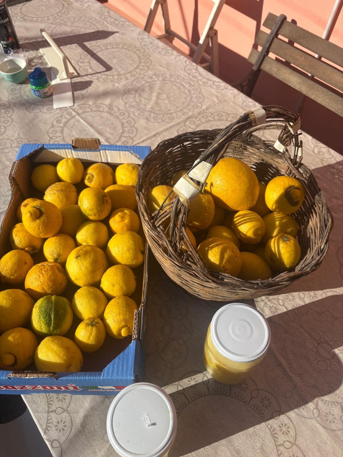 Frisch geerntete Zitronen