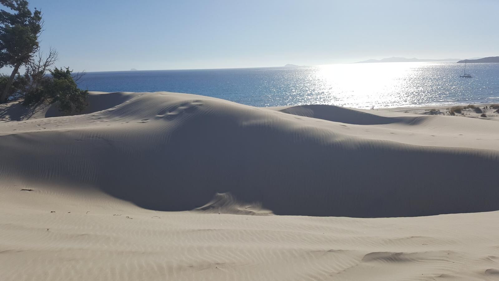 Dünen am Meer